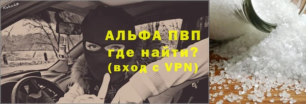ПСИЛОЦИБИНОВЫЕ ГРИБЫ Богданович