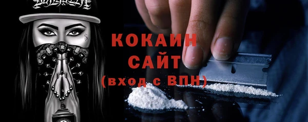 ПСИЛОЦИБИНОВЫЕ ГРИБЫ Богданович