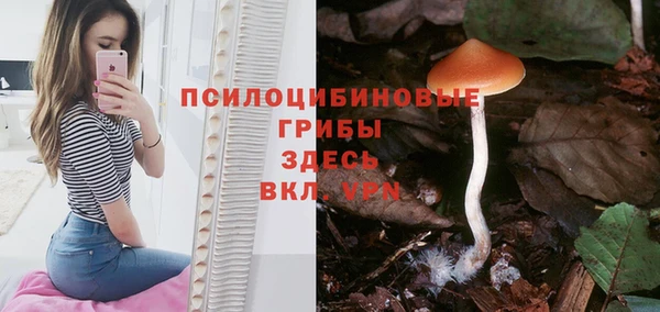 скорость mdpv Бородино